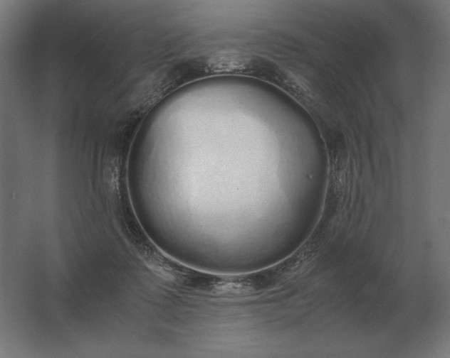 X0000062800315200512290255
