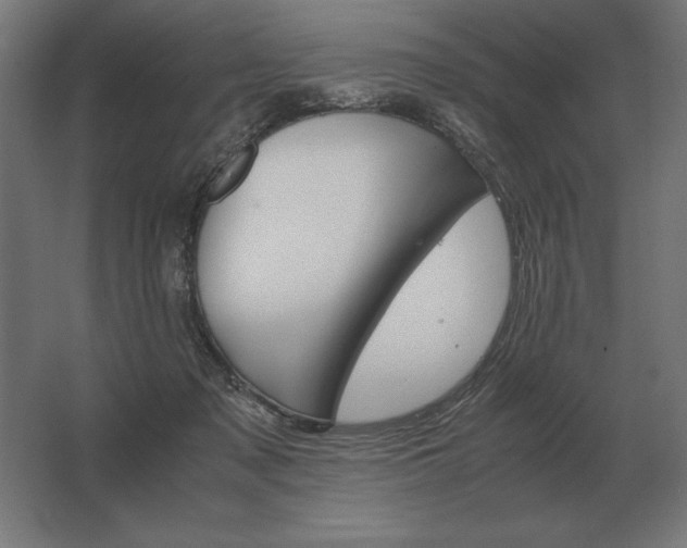 X0000062800317200512290255