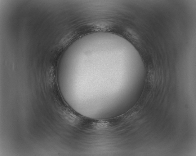 X0000062800318200512290255