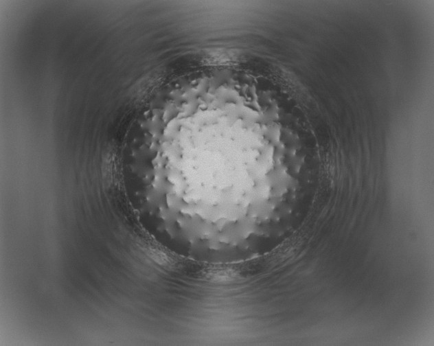 X0000062800322200512290255