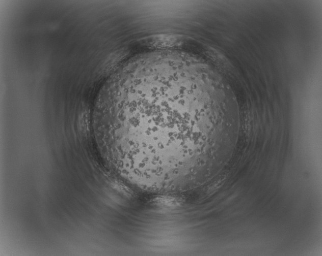 X0000062800326200512290255