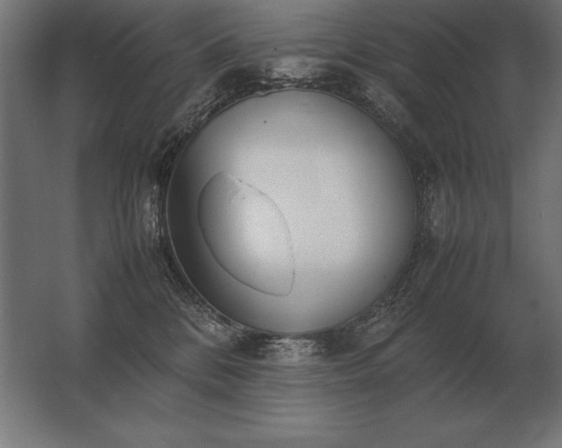 X0000062800328200512290255
