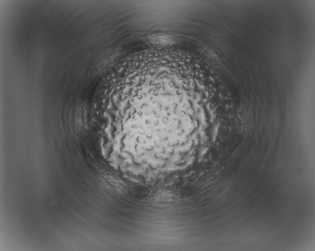 X0000062800330200512290255