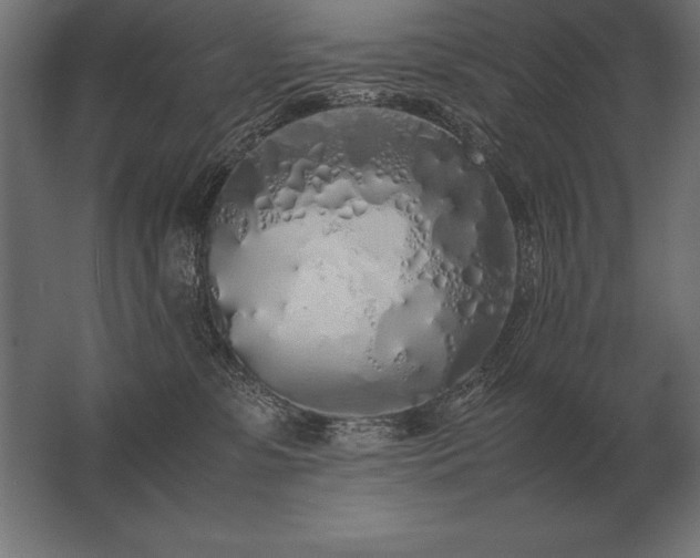 X0000062800331200512290255