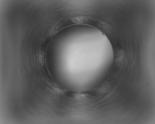 X0000062800332200512290255