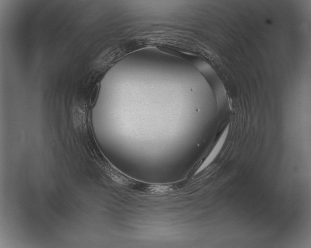 X0000062800333200512290255