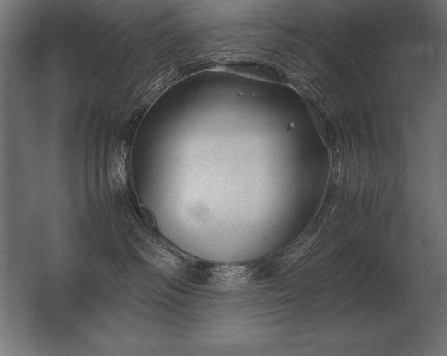 X0000062800334200512290255
