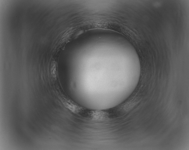 X0000062800336200512290255