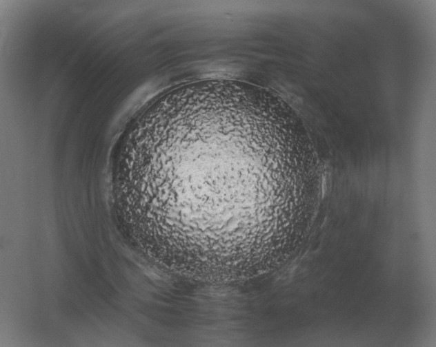 X0000062800339200512290254
