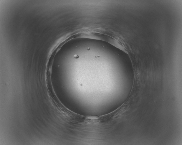 X0000062800340200512290254
