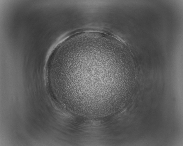 X0000062800343200512290254