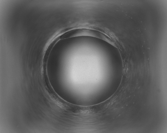 X0000062800344200512290254