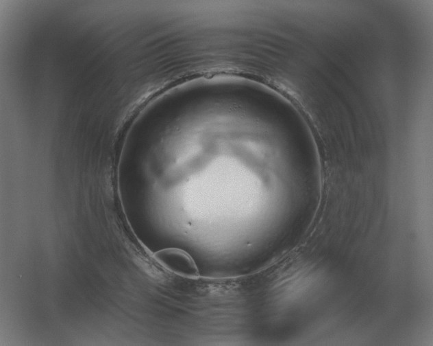 X0000062800345200512290254