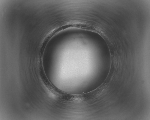 X0000062800352200512290254