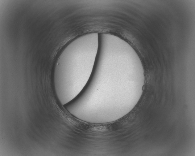 X0000062800353200512290254