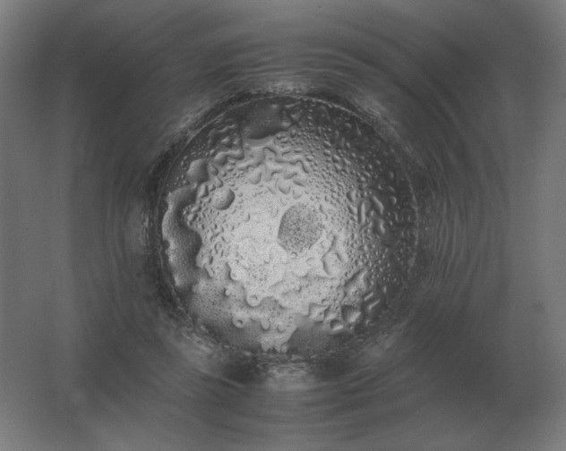 X0000062800355200512290254