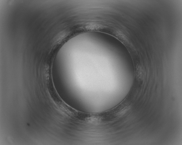 X0000062800356200512290254