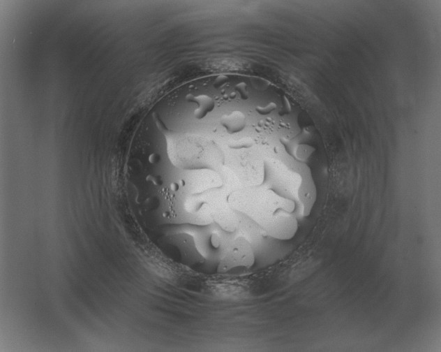 X0000062800359200512290254
