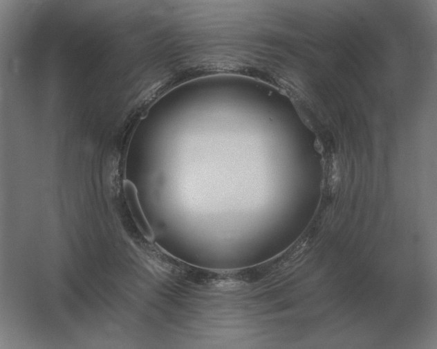 X0000062800360200512290254
