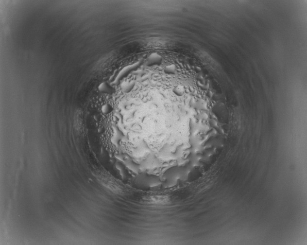 X0000062800361200512290254