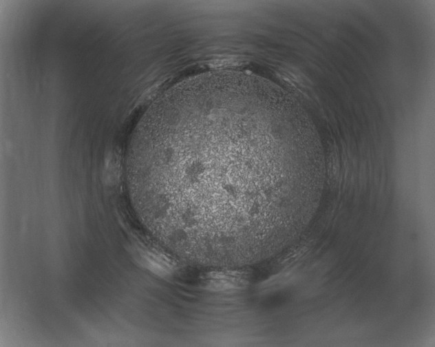 X0000062800367200512290254