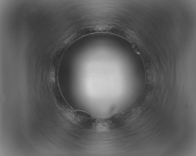 X0000062800368200512290254