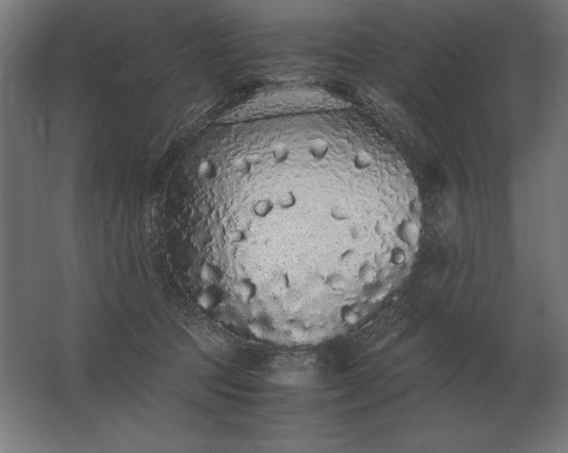 X0000062800369200512290254