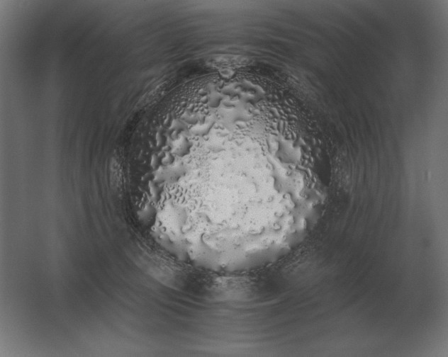 X0000062800371200512290255