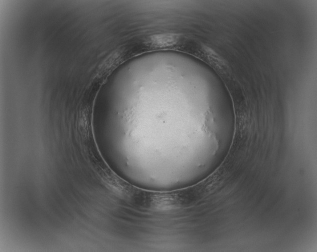 X0000062800373200512290255