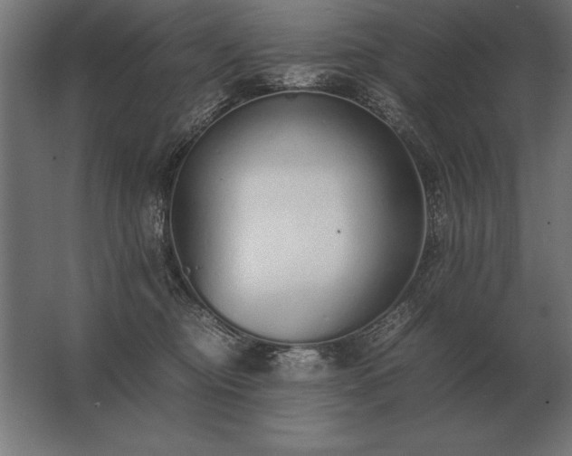 X0000062800374200512290255
