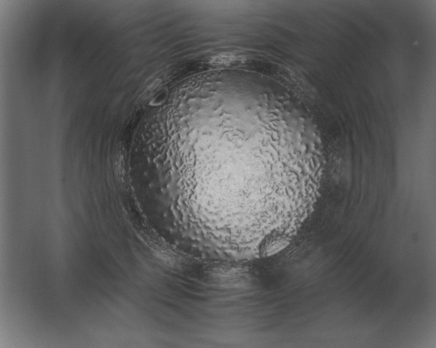 X0000062800375200512290255