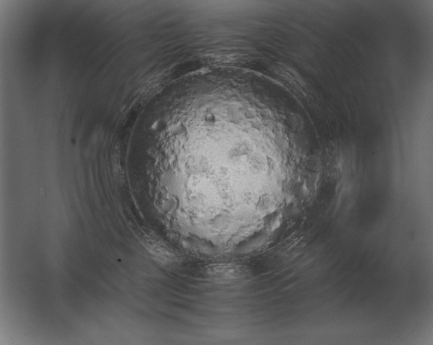 X0000062800377200512290255