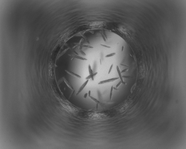 X0000062800379200512290255