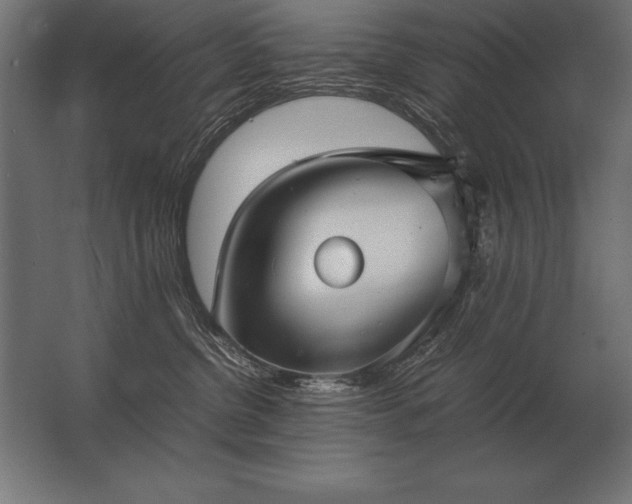 X0000062800380200512290255