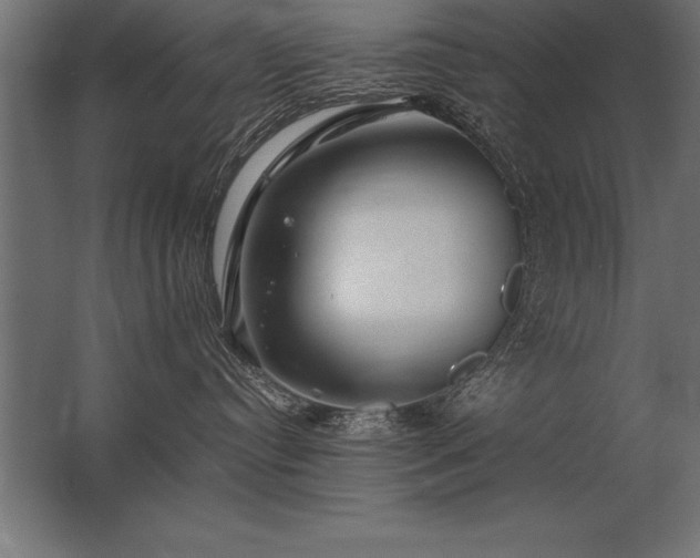 X0000062800384200512290255