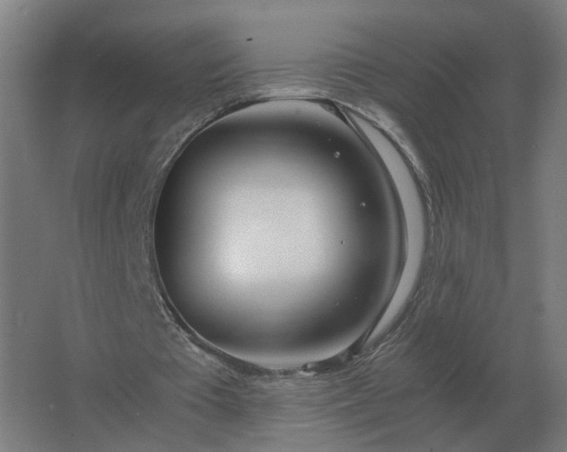 X0000062800385200512290254