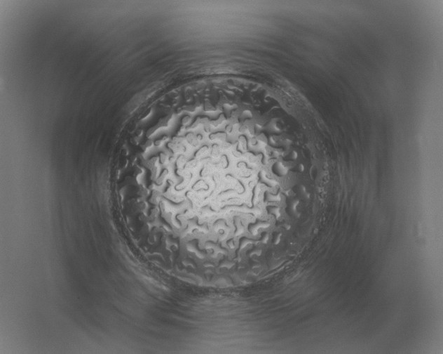 X0000062800386200512290254