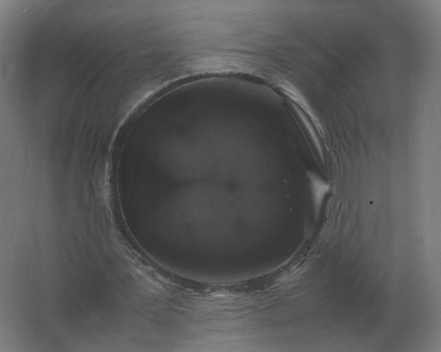 X0000062800387200512290254