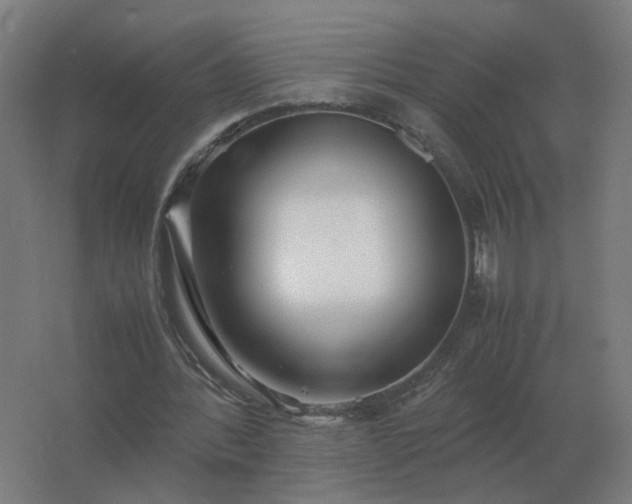 X0000062800388200512290254