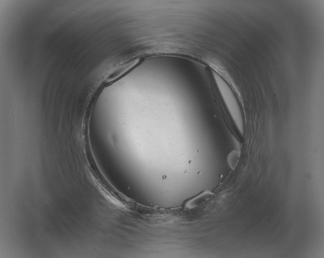 X0000062800389200512290254