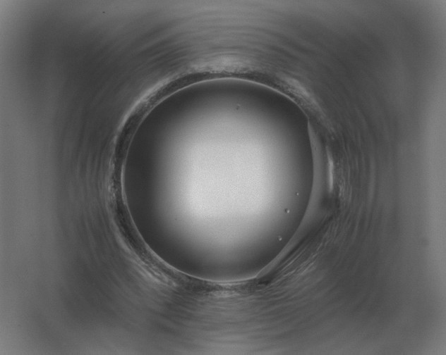 X0000062800392200512290254