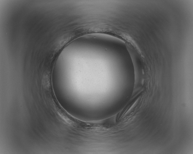 X0000062800393200512290254