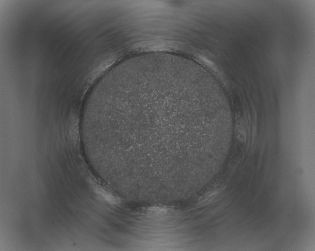 X0000062800394200512290254