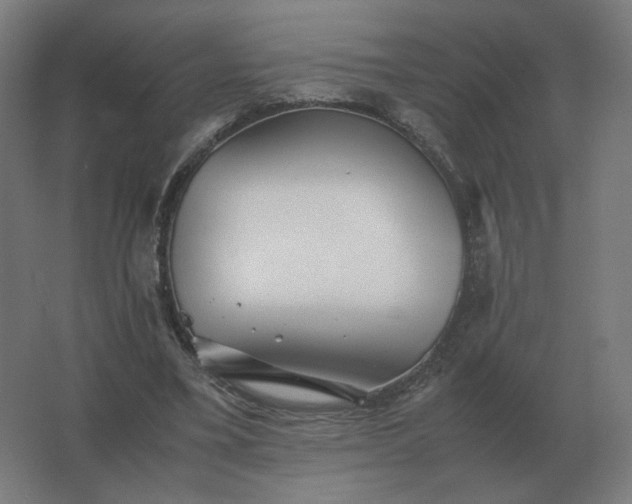 X0000062800395200512290254