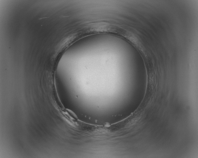 X0000062800397200512290254