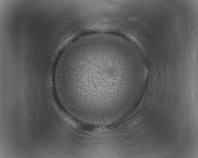 X0000062800399200512290254