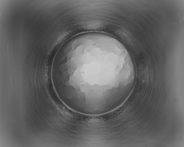 X0000062800400200512290254
