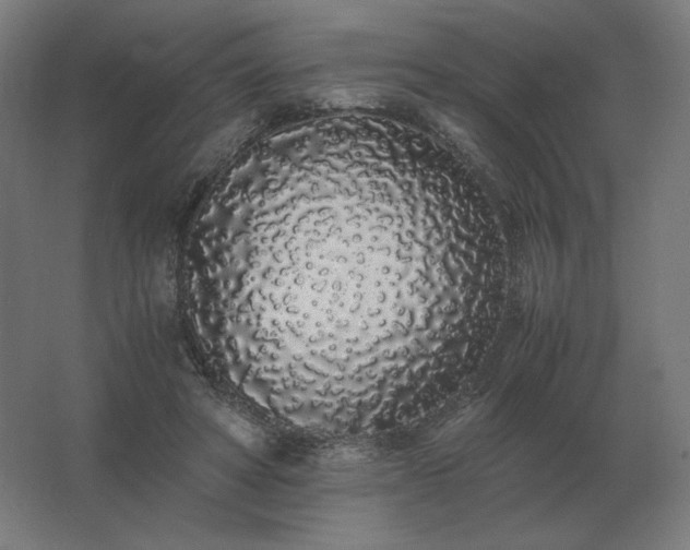 X0000062800402200512290254
