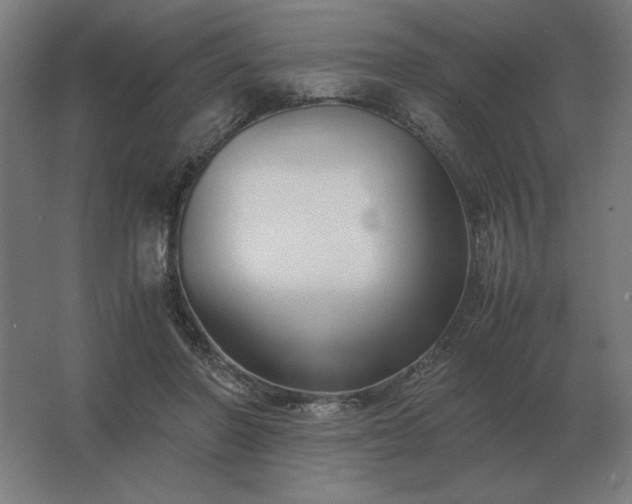 X0000062800406200512290254