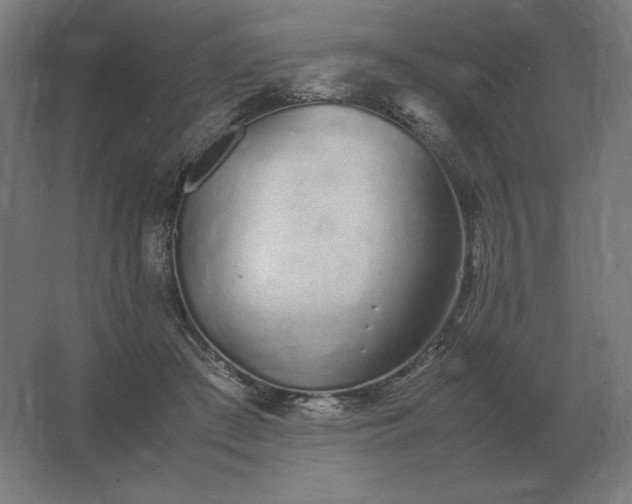 X0000062800409200512290254